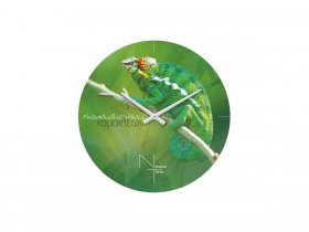 Часы настенные Nicole Time NT503 в Петровском - petrovskij.mebel-nsk.ru | фото